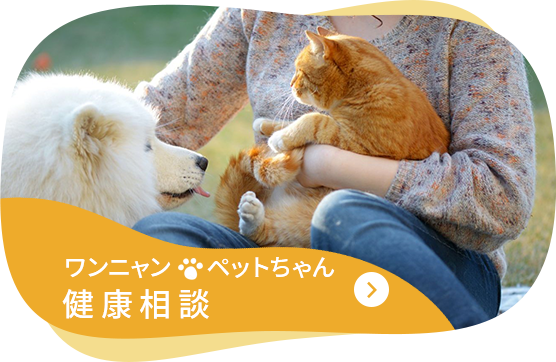 ワンニャンペットちゃん健康相談